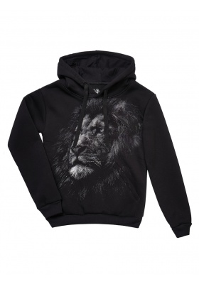 Lion king 2